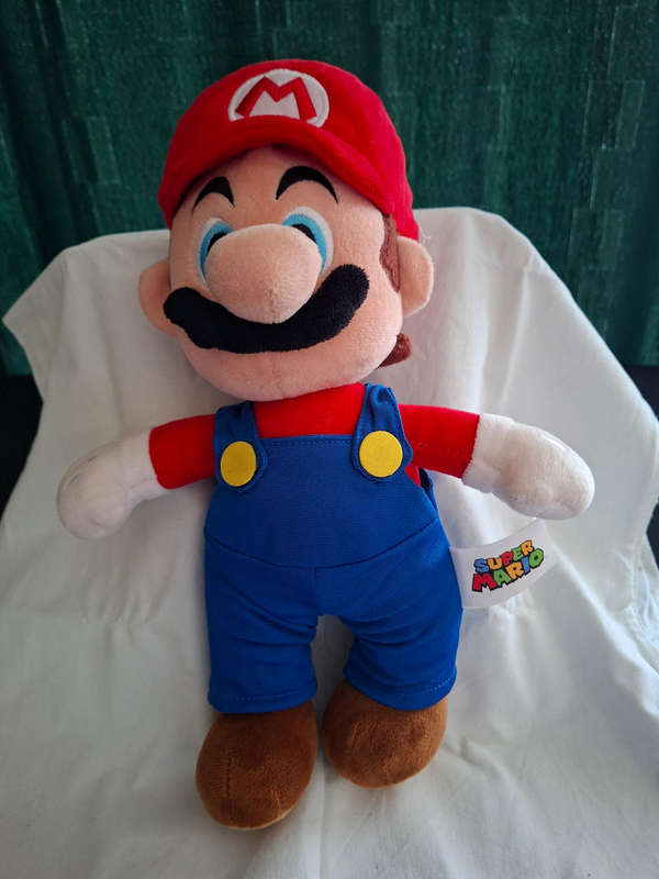 Mario and Luigi