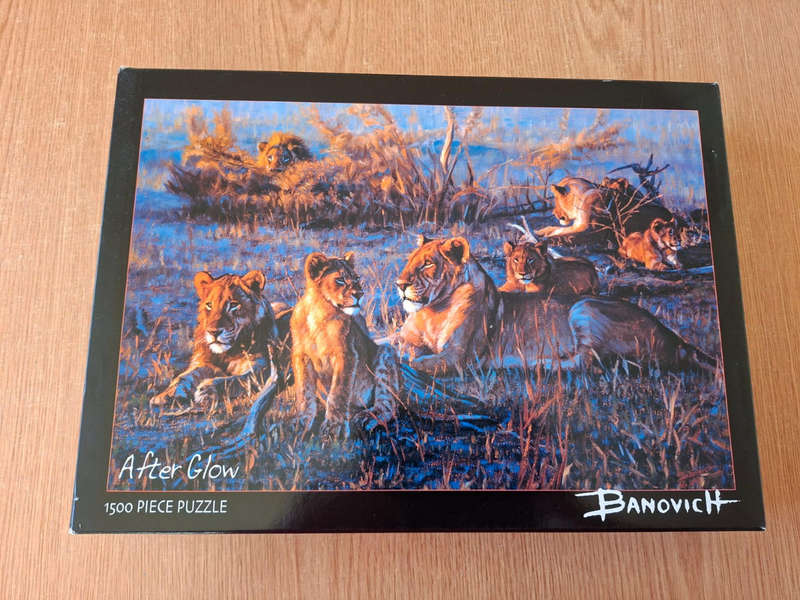1500 Piece Puzzle After Glow