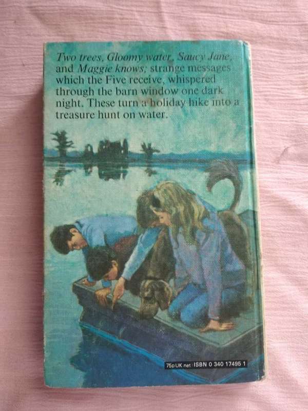 Enid Blyton Five on a hike together