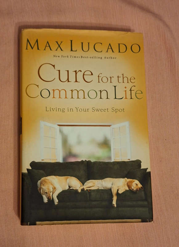 Max Lucado Cure for the Common Life