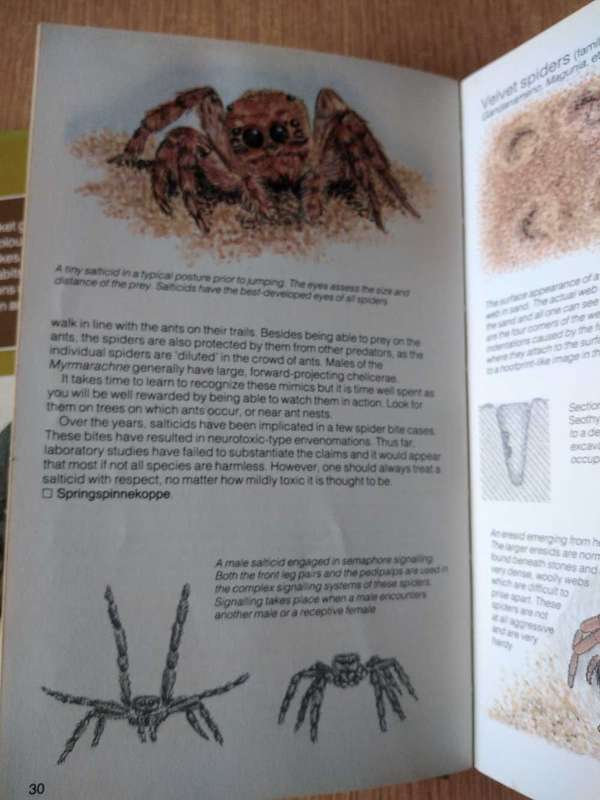 Struik pocket guides for Southern Africa - 3 assorted books on Snakes, spiders and sharks