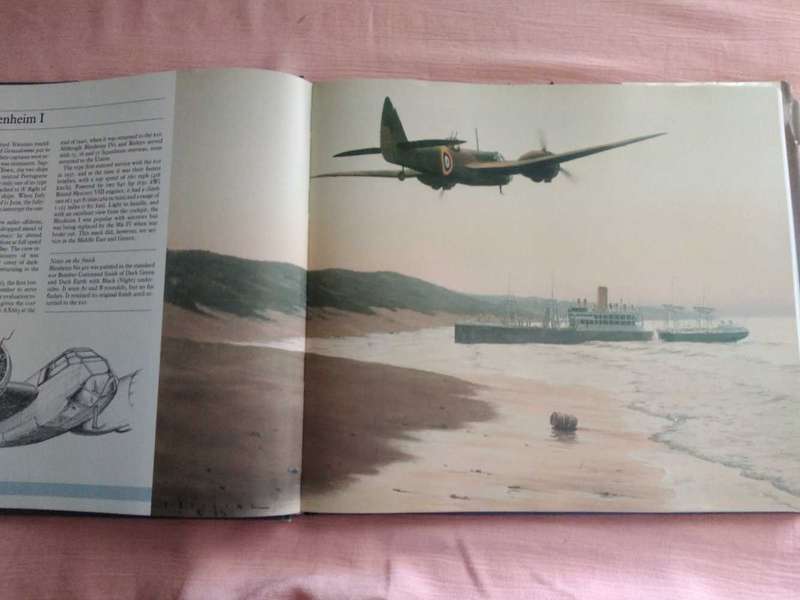 Ron Belling A portrait of Military Aviation in South Africa