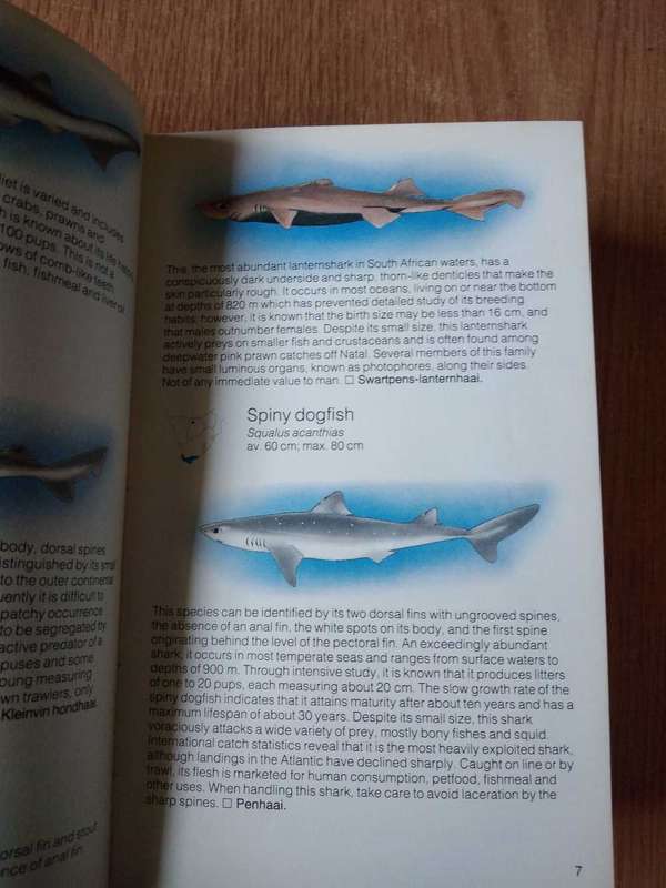 Struik pocket guides for Southern Africa - 3 assorted books on Snakes, spiders and sharks