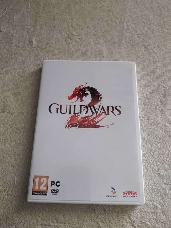 PC Game Guildwars 2