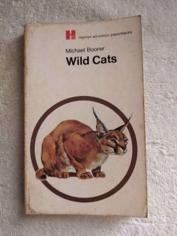 Michael Boorer Wild Cats