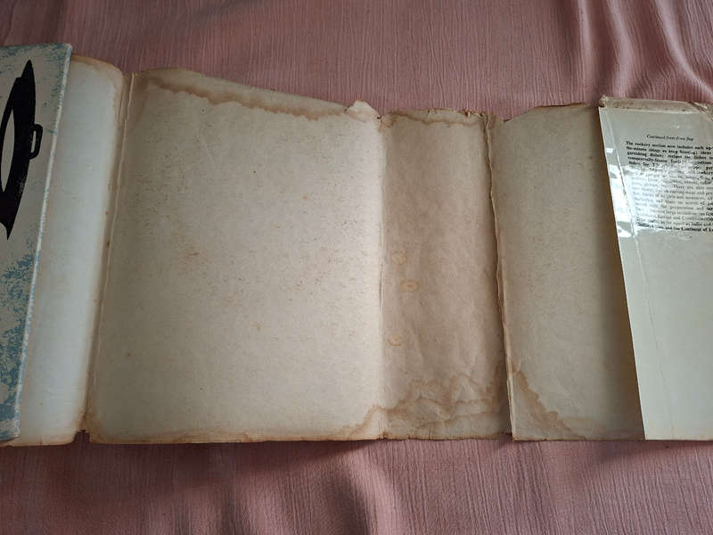 Mrs Beeton's Cookery and Household Management