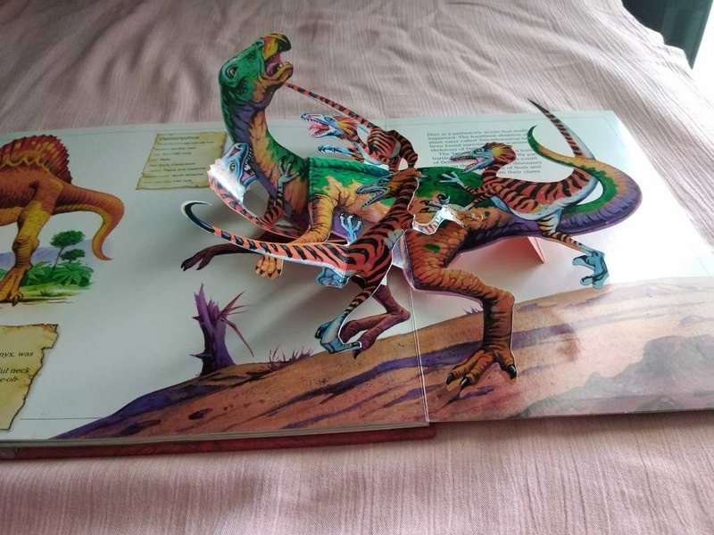 Prehistoric Predators Peter Haddock Publishing