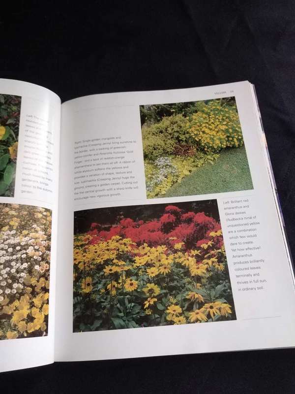 Nancy Gardiner Colour in your Garden all year round