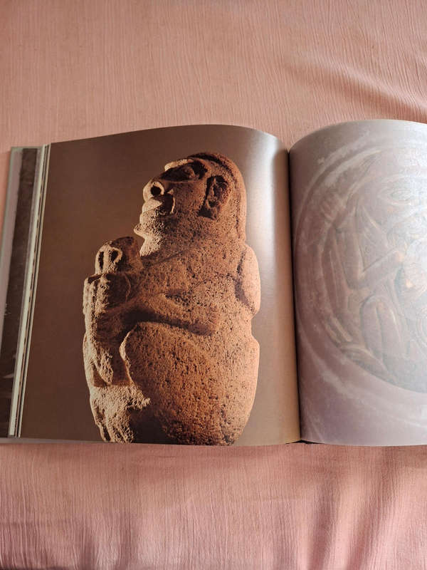 Nigel Cawthorne The Art of Native North America