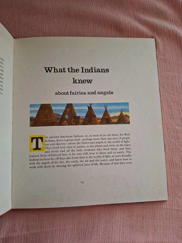 Joan Hodgson Angels and Indians