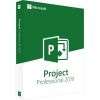 Project 2019 Professional - Online