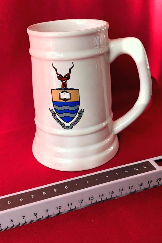 Wits Beer Mug