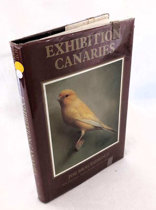 Exhibition Canaries -Joe Bracegirdle