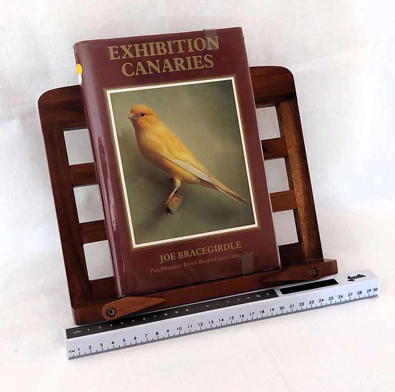 Exhibition Canaries -Joe Bracegirdle