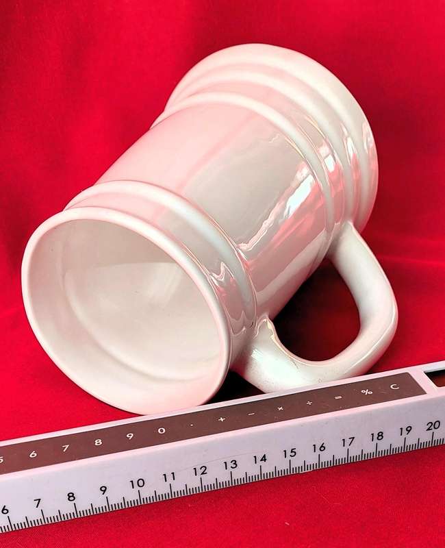 Wits Beer Mug