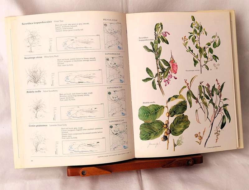 Trees & Shrubs of the Witwatersrand, Magaliesberg & Pilanesberg - Joan van Gogh