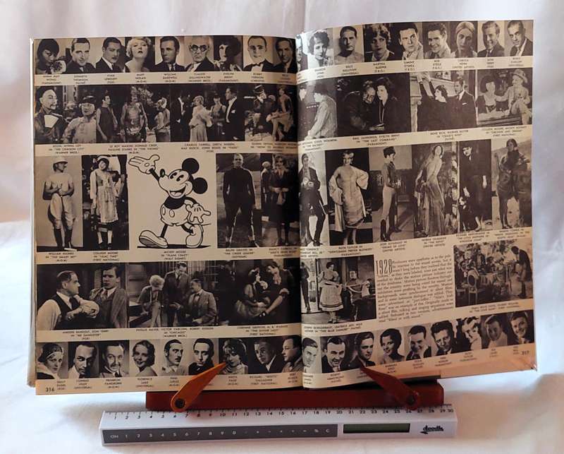 The Pictorial History of the Silent Screen - Daniel Blum