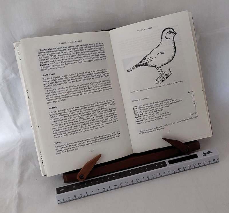 Exhibition Canaries -Joe Bracegirdle