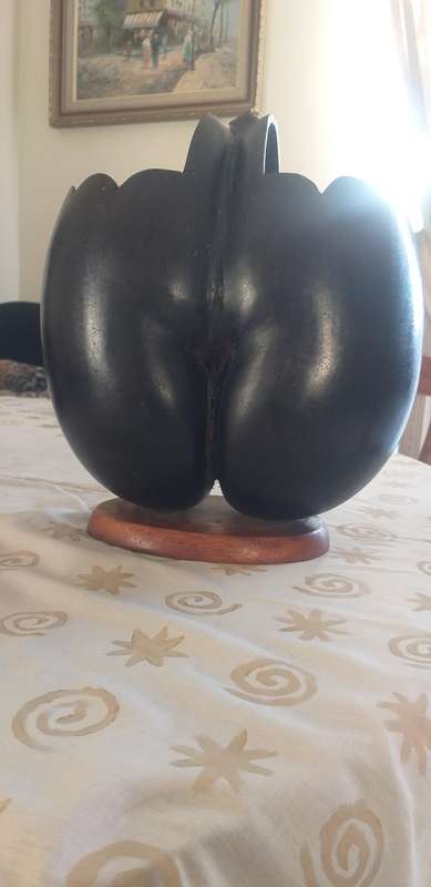 Coco de Mer Souvenir from 1950's
