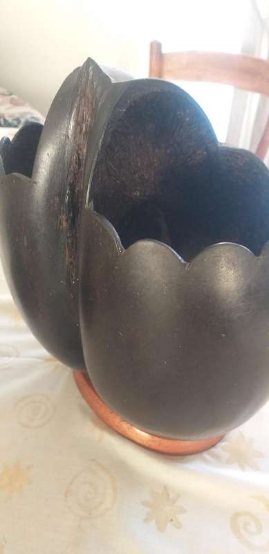 Coco de Mer Souvenir from 1950's
