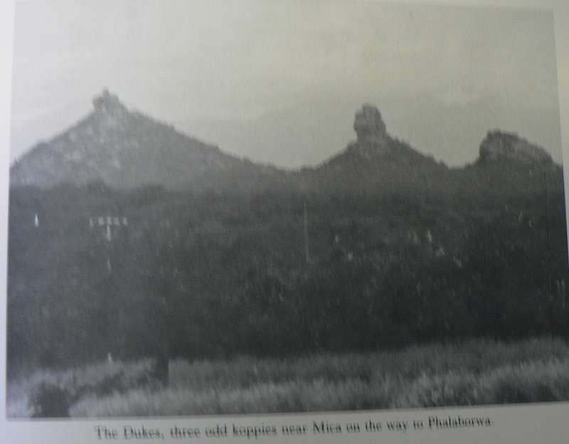 The Vanished Saddleback, the story of Phalaborwa by J.F. Grewar(Eastern/Northern Transvaal  history)
