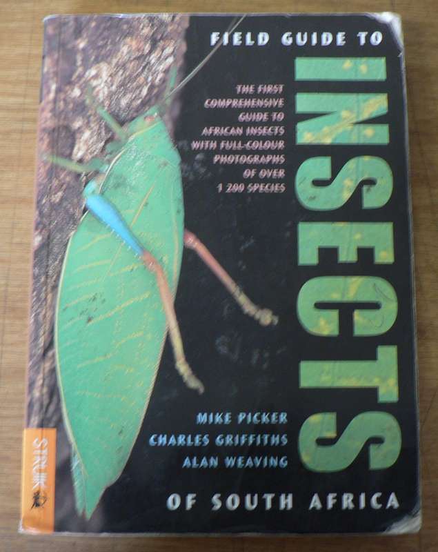 Southern African Insects and their world by Alan Weaving