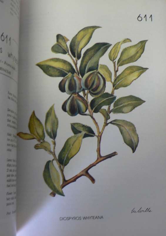 2 x Eastern Cape Tree books(South African nature books/Eastern Cape)