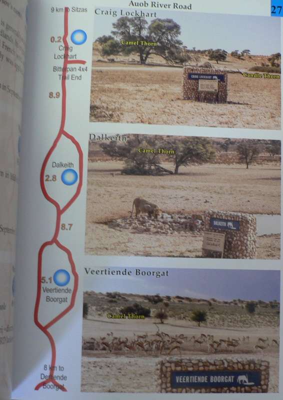 Kgalagadi Transfrontier Park guide by Peter Derichs