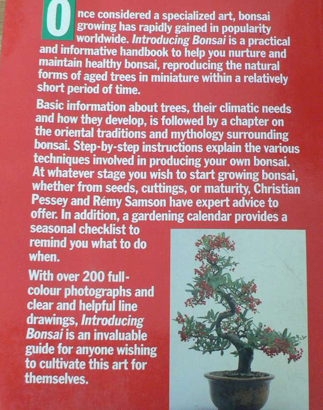 Introducing Bonsai by Christian Pessey