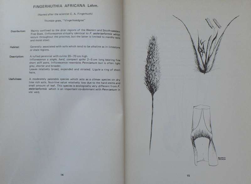Klimplante, bome en struike van die Oranje-Vrystaat and Common Grasses of the OFS(2 books)