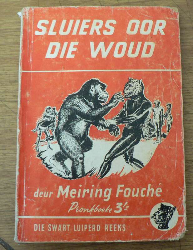 Die Swart Luiperd-reeks: Sluiers oor die woud deur Meiring Fouche (Pronk boeke)