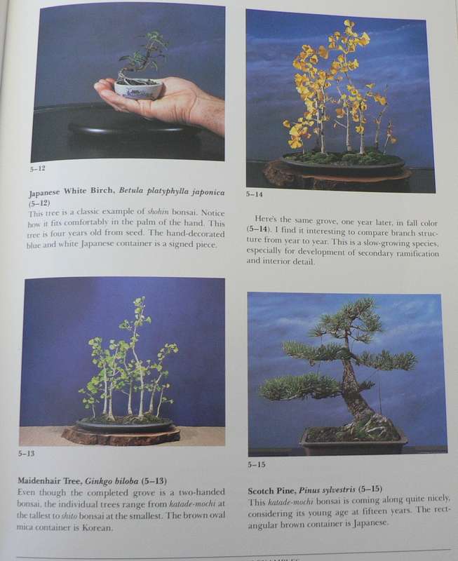 Miniature Bonsai by Herb L. Gustafson