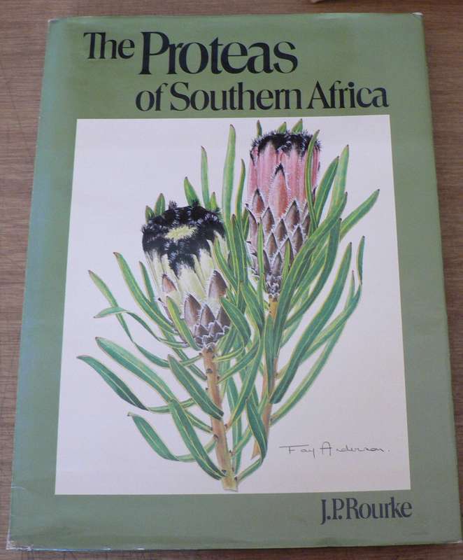 Proteas of Southern Africa by J.P. Rourke