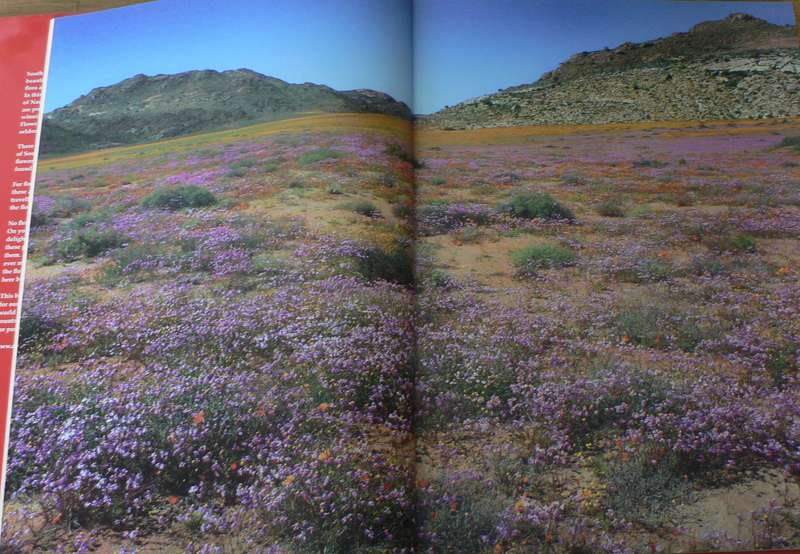 Wild Flowers of South Africa and Namaqualand, floral world heritage site