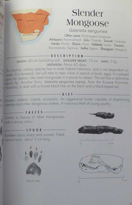 Signs of the wild by Clive Walker (a field guide to the spoor and signs of the mammals...)