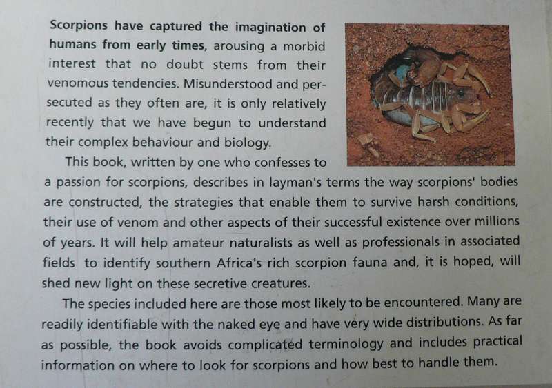 Scorpions of Southern Africa by Jonathan Leeming
