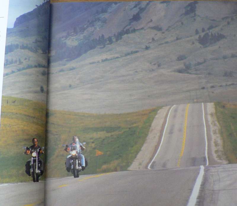 The classic Harley by Mark Williams and Garry Stuart (Harley Davidson)