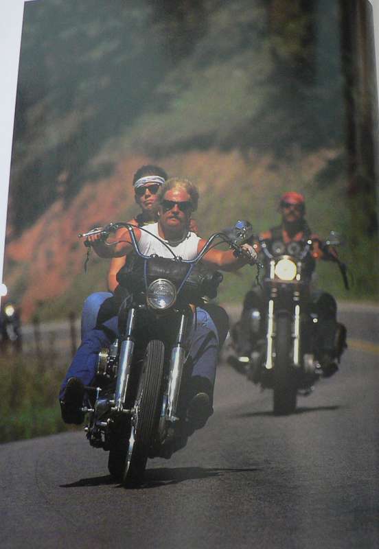 The classic Harley by Mark Williams and Garry Stuart (Harley Davidson)