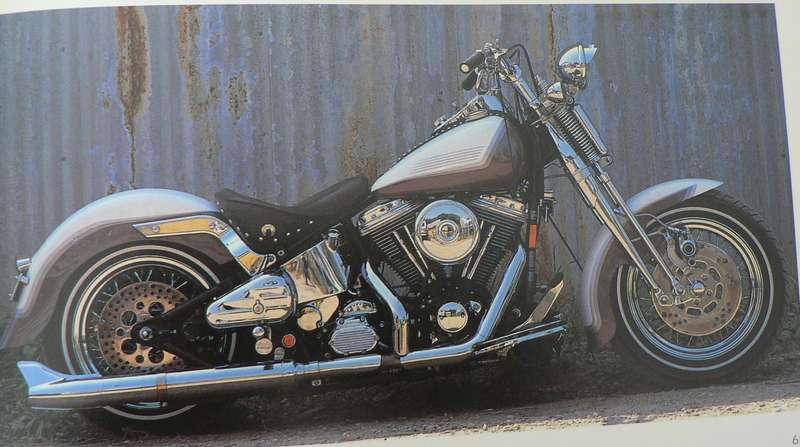 The classic Harley by Mark Williams and Garry Stuart (Harley Davidson)