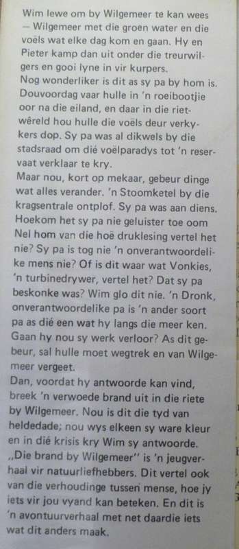 Die brand by Wilgemeer deur John Coetzee(skrywer van die Buksreeks)