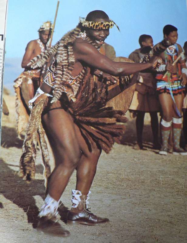The Zulu by Alice Mertins and Hilgard Schoeman