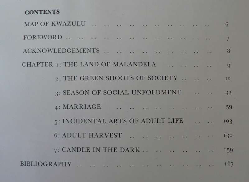 The Zulu by Alice Mertins and Hilgard Schoeman