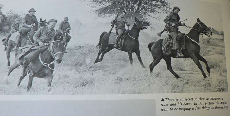 Africa's Super Power by Paul L. Moorcraft(the South African military machine)