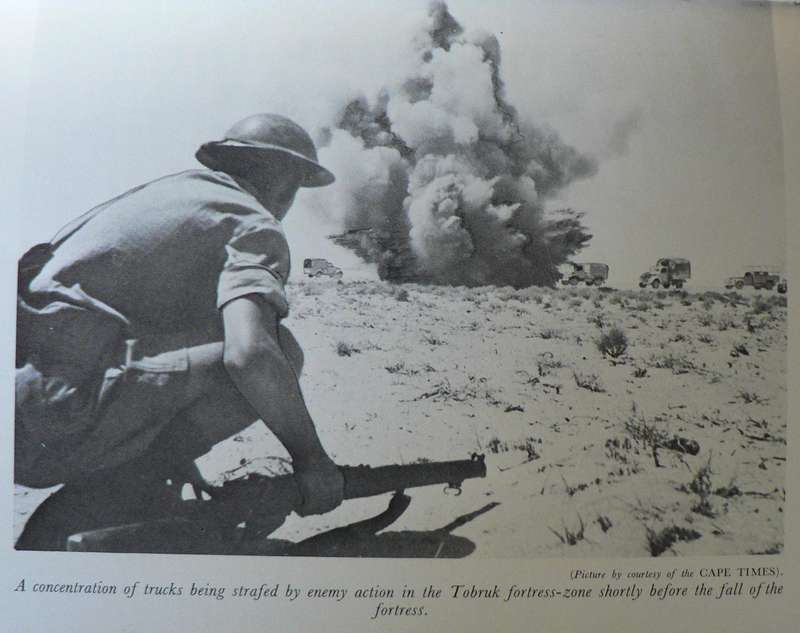 Inside the cage by Laurie du Preez (South African POW in WWII)