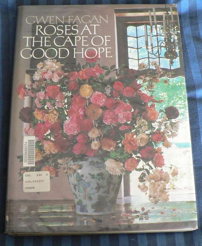 Roses at the Cape of Good Hope by Gwen Fagan