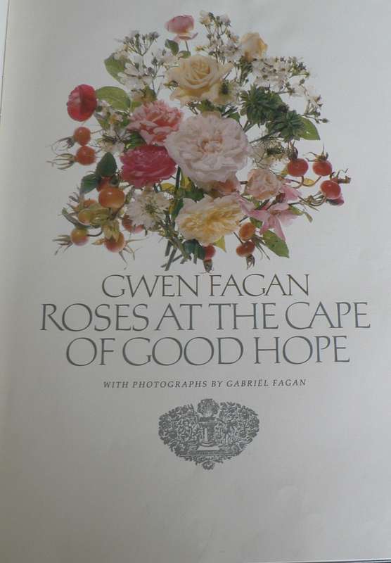 Roses at the Cape of Good Hope by Gwen Fagan
