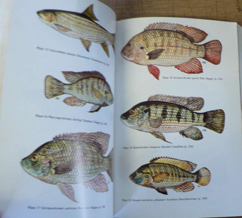 The fishes of Zimbabwe by Graham Bell Cross and John Minshull