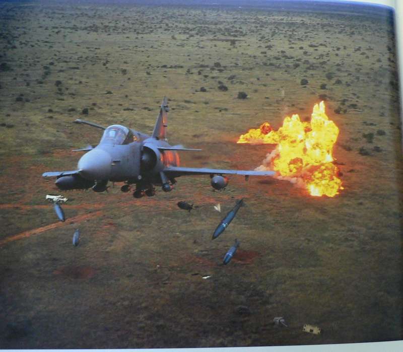 More than game , a salute to the South African Air Force by Herman Potgieter and Linden Burns