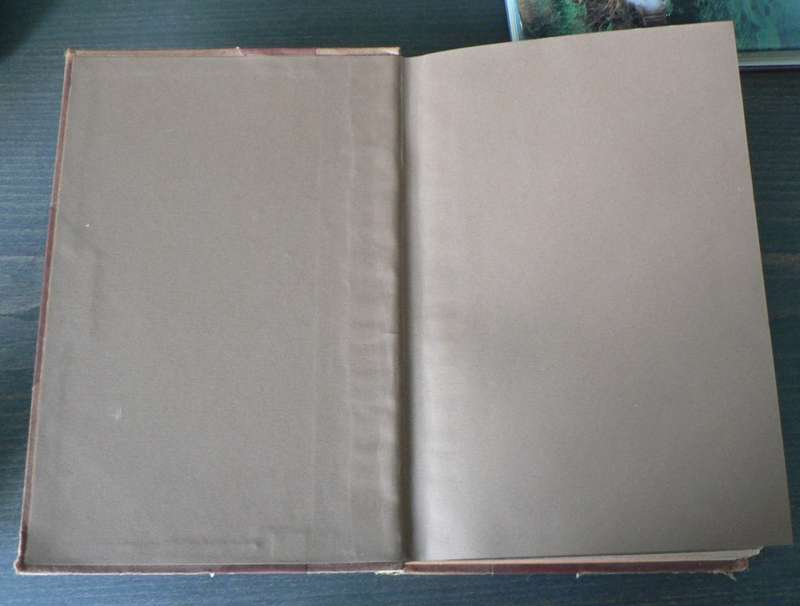 A Comparative grammar of South African Banty Languages by J. Torrend (very scarce/1891)