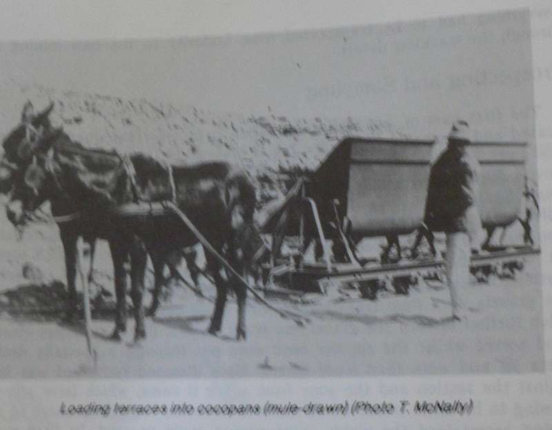 Diamond Beaches, a history of Oranjemund 1928-1989 (Northern Cape/Namibia country history)